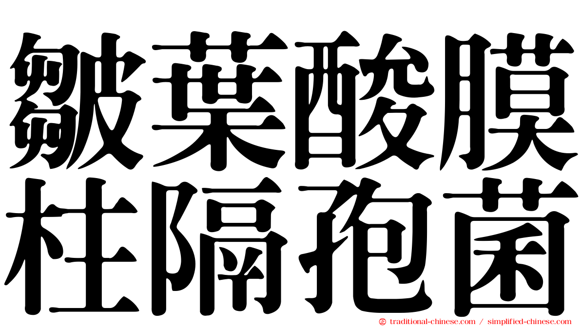 皺葉酸膜柱隔孢菌