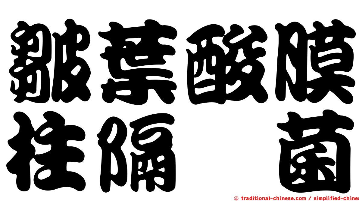 皺葉酸膜柱隔孢菌