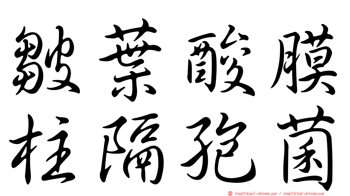 皺葉酸膜柱隔孢菌