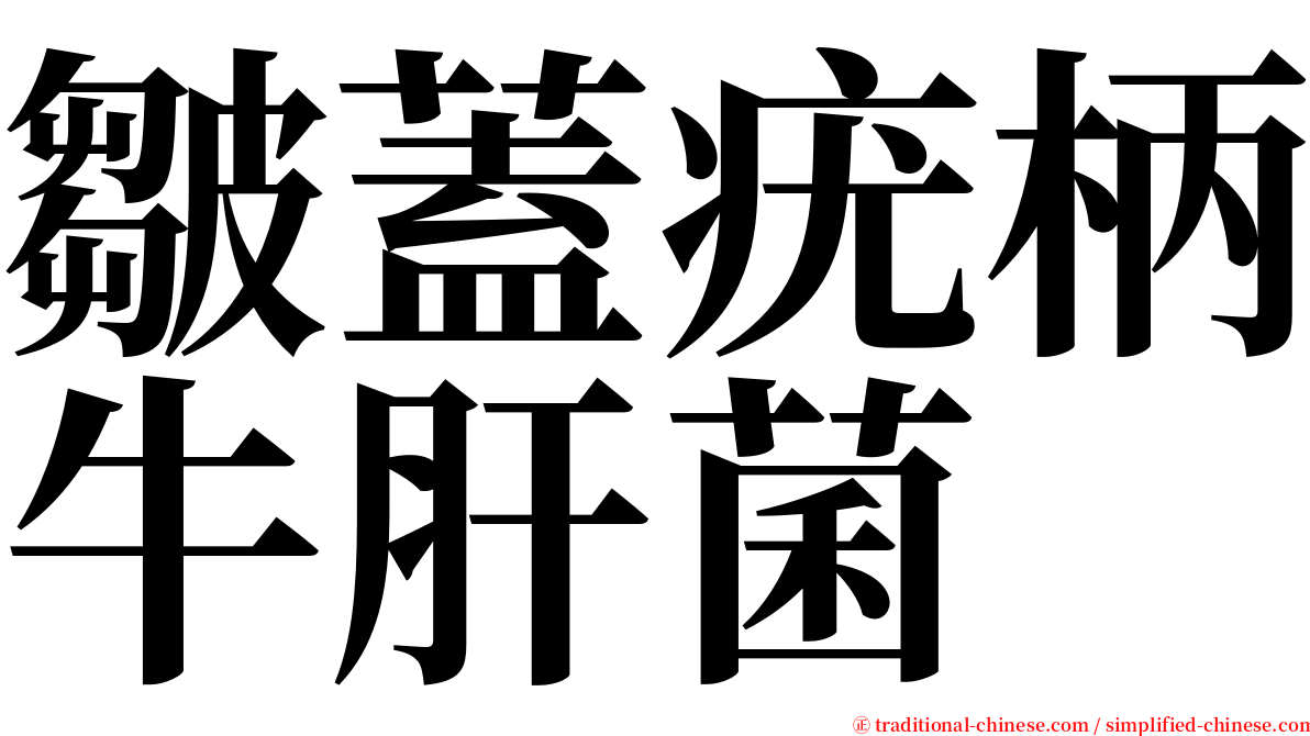 皺蓋疣柄牛肝菌 serif font