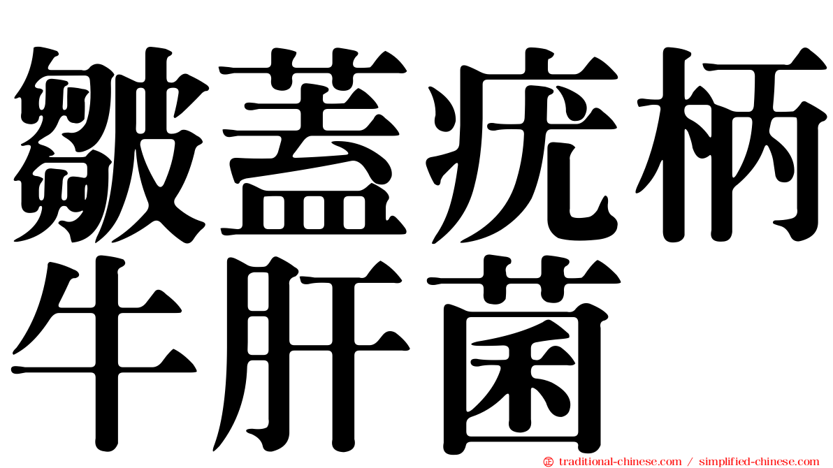 皺蓋疣柄牛肝菌