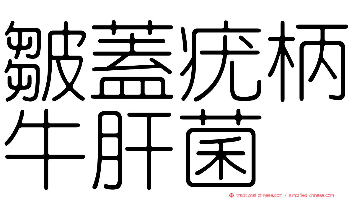 皺蓋疣柄牛肝菌