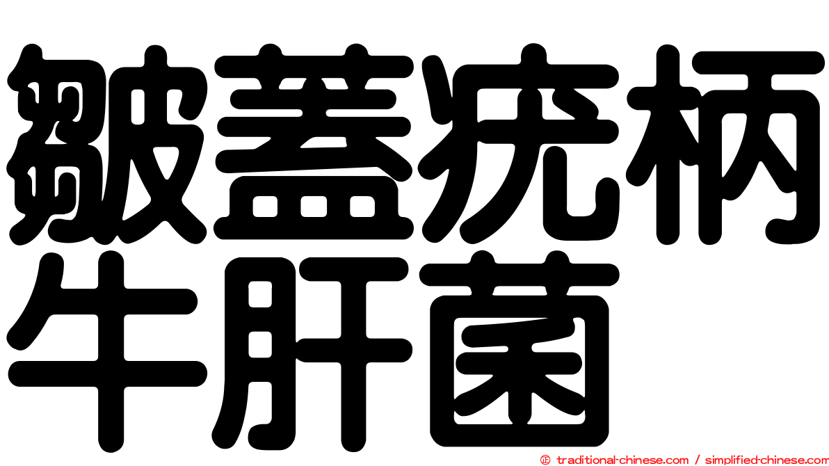 皺蓋疣柄牛肝菌