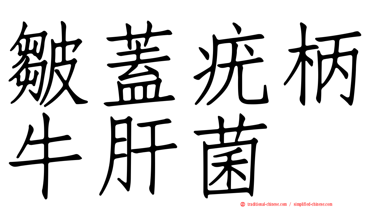 皺蓋疣柄牛肝菌