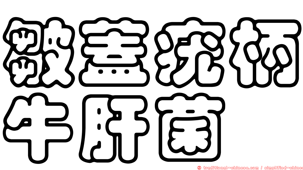 皺蓋疣柄牛肝菌