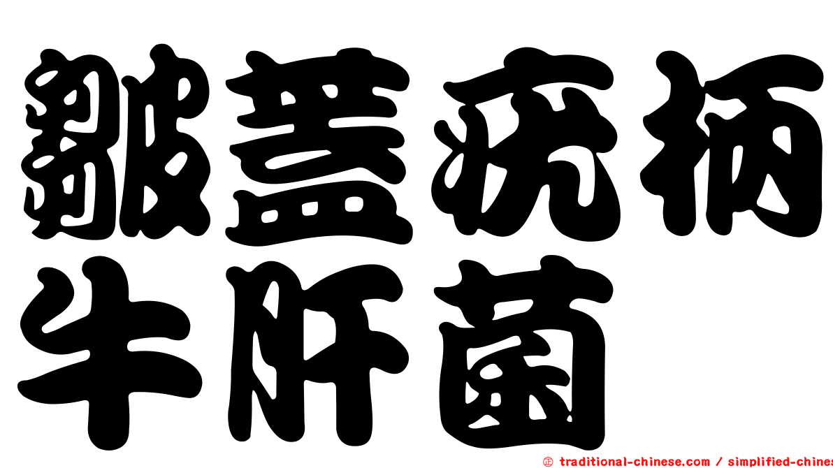皺蓋疣柄牛肝菌