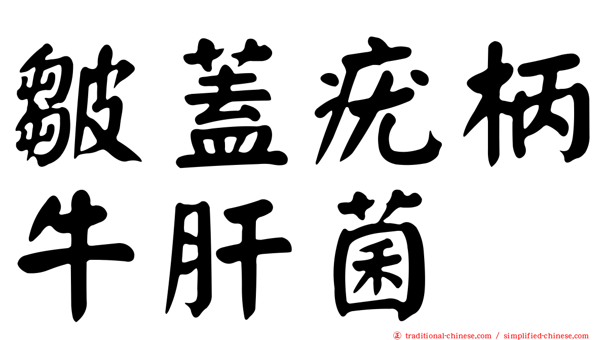 皺蓋疣柄牛肝菌