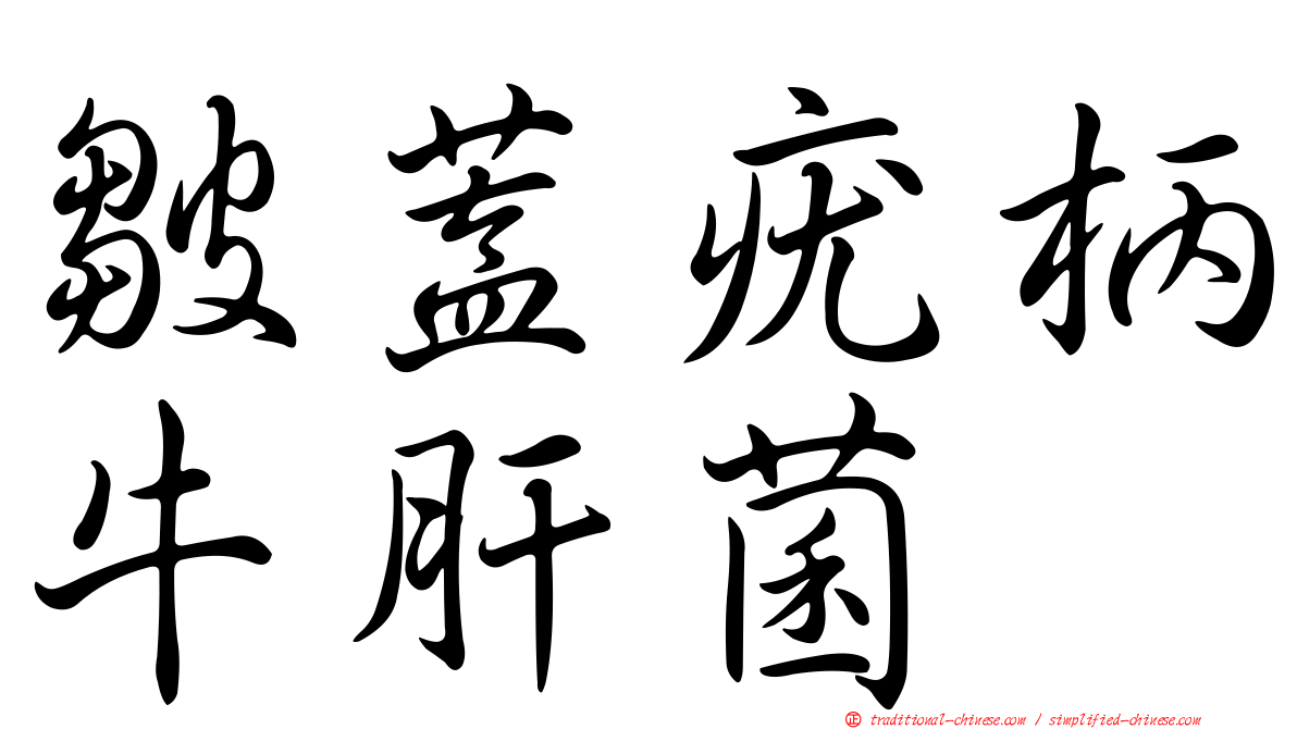 皺蓋疣柄牛肝菌