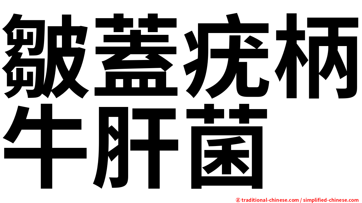 皺蓋疣柄牛肝菌