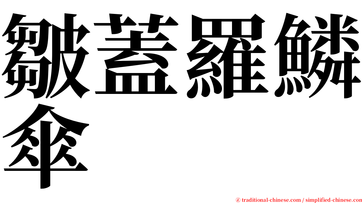 皺蓋羅鱗傘 serif font