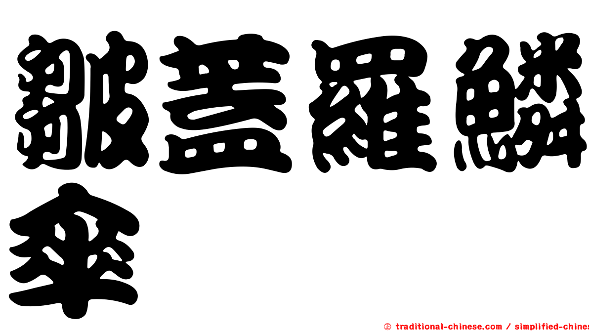 皺蓋羅鱗傘