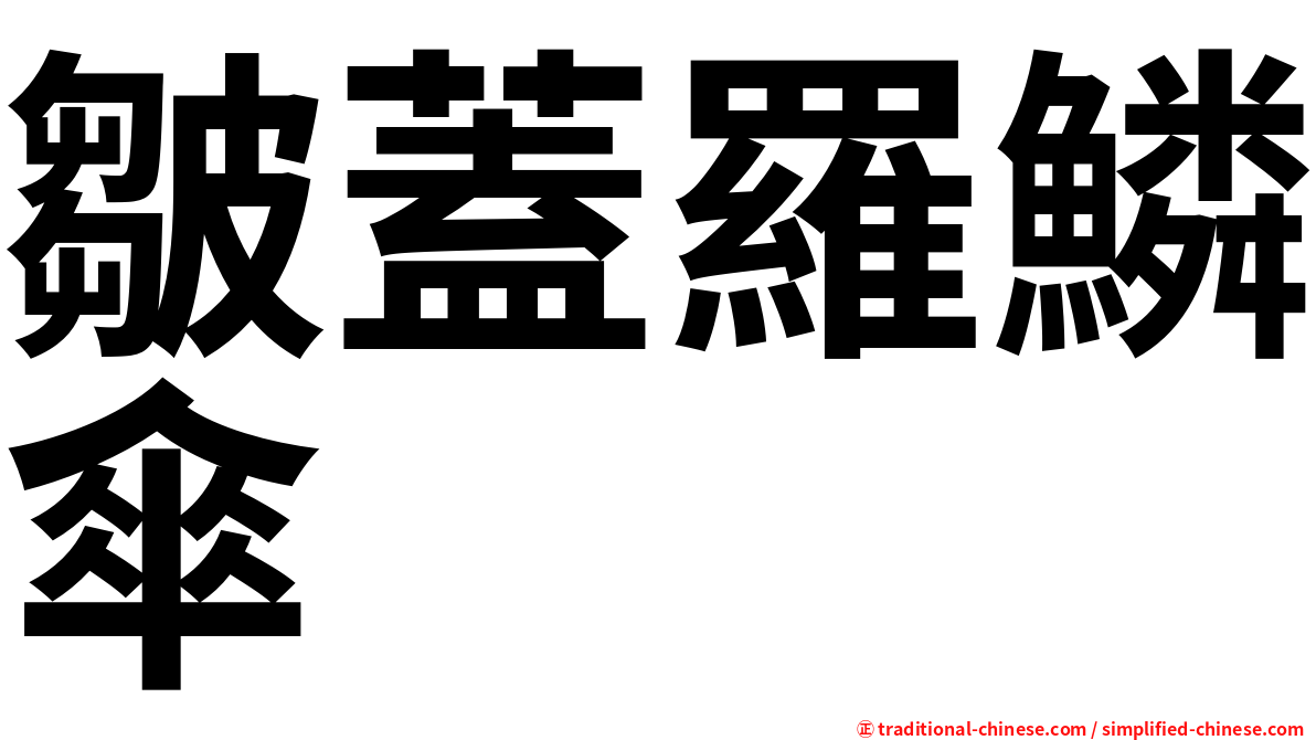 皺蓋羅鱗傘