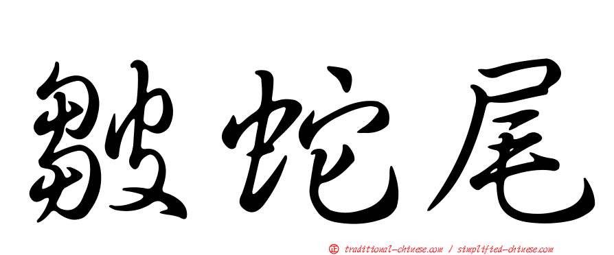 皺蛇尾