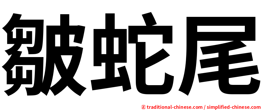 皺蛇尾