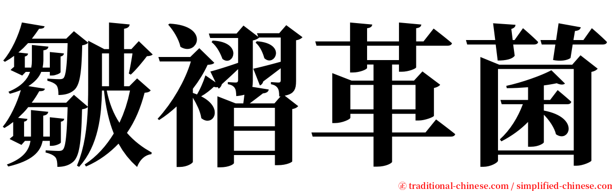 皺褶革菌 serif font