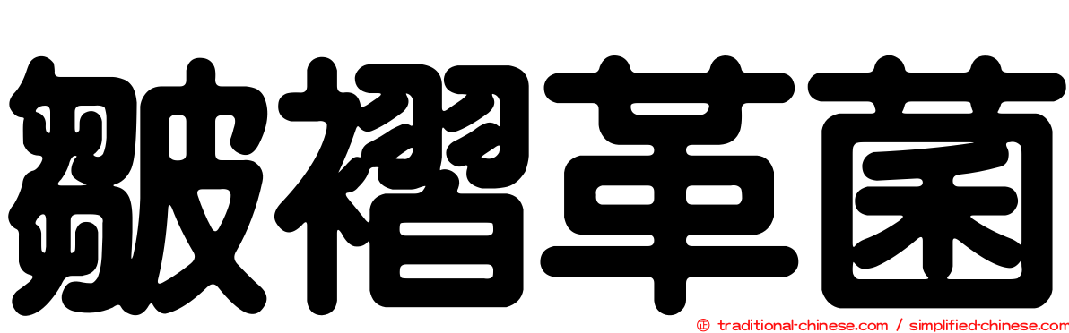 皺褶革菌