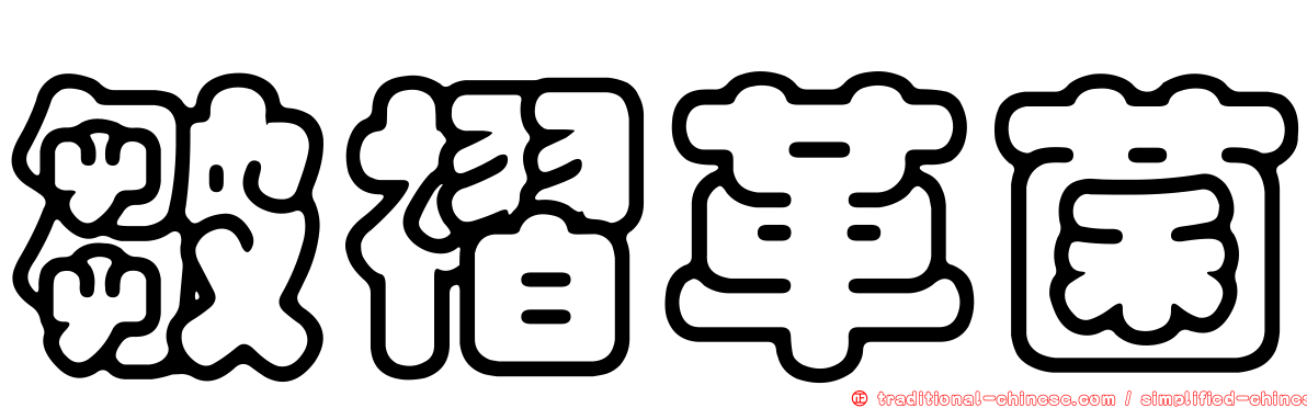 皺褶革菌