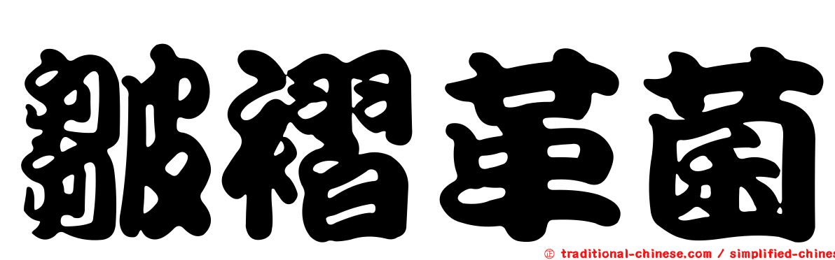 皺褶革菌