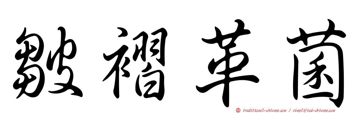 皺褶革菌
