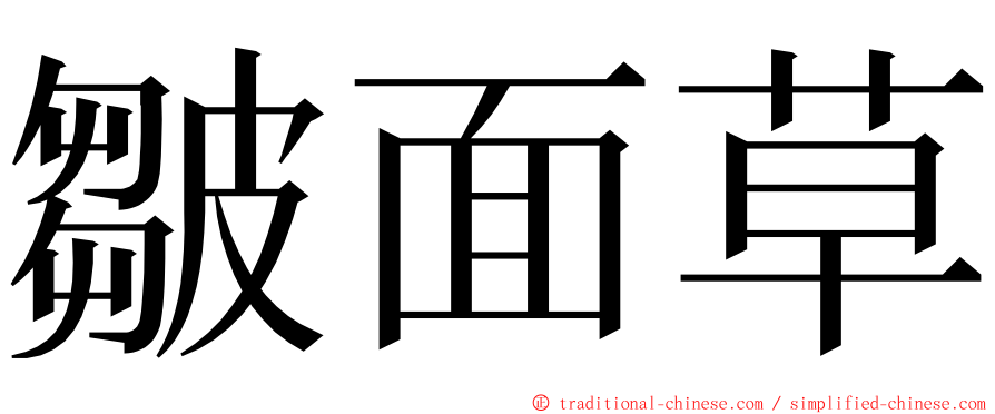 皺面草 ming font
