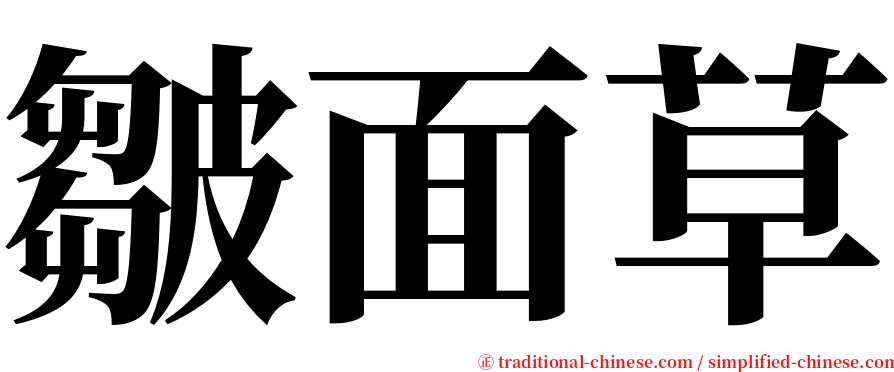 皺面草 serif font