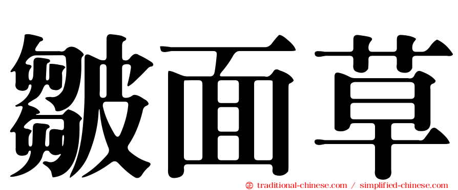 皺面草