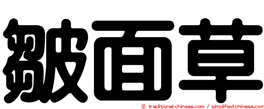皺面草