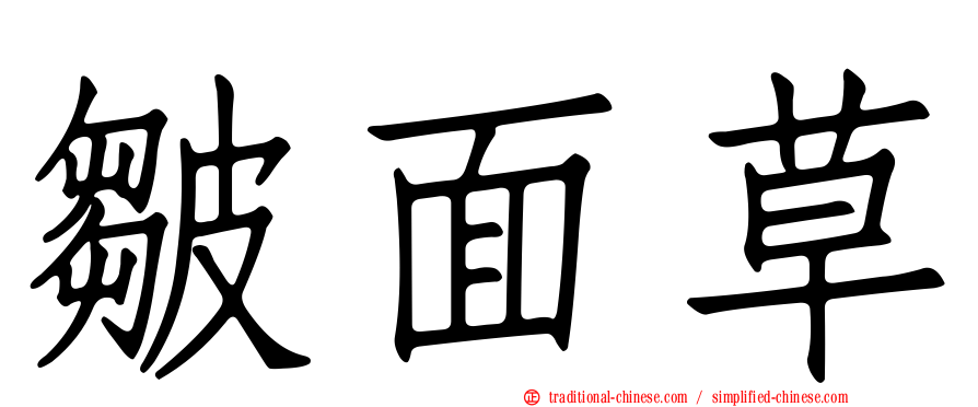 皺面草