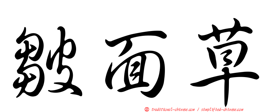 皺面草