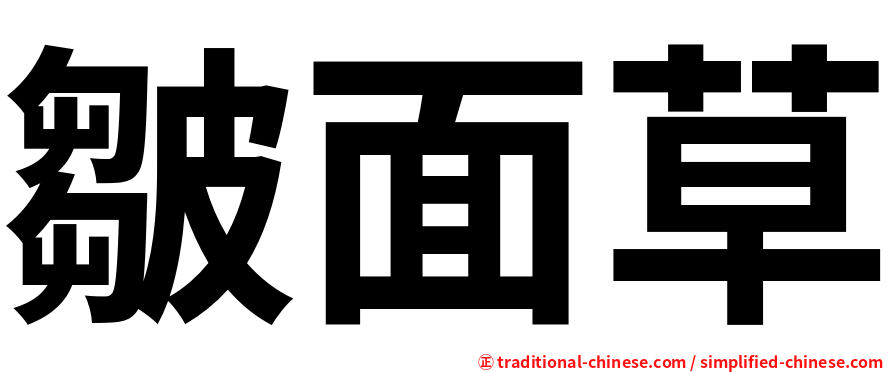 皺面草