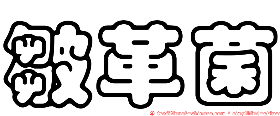 皺革菌