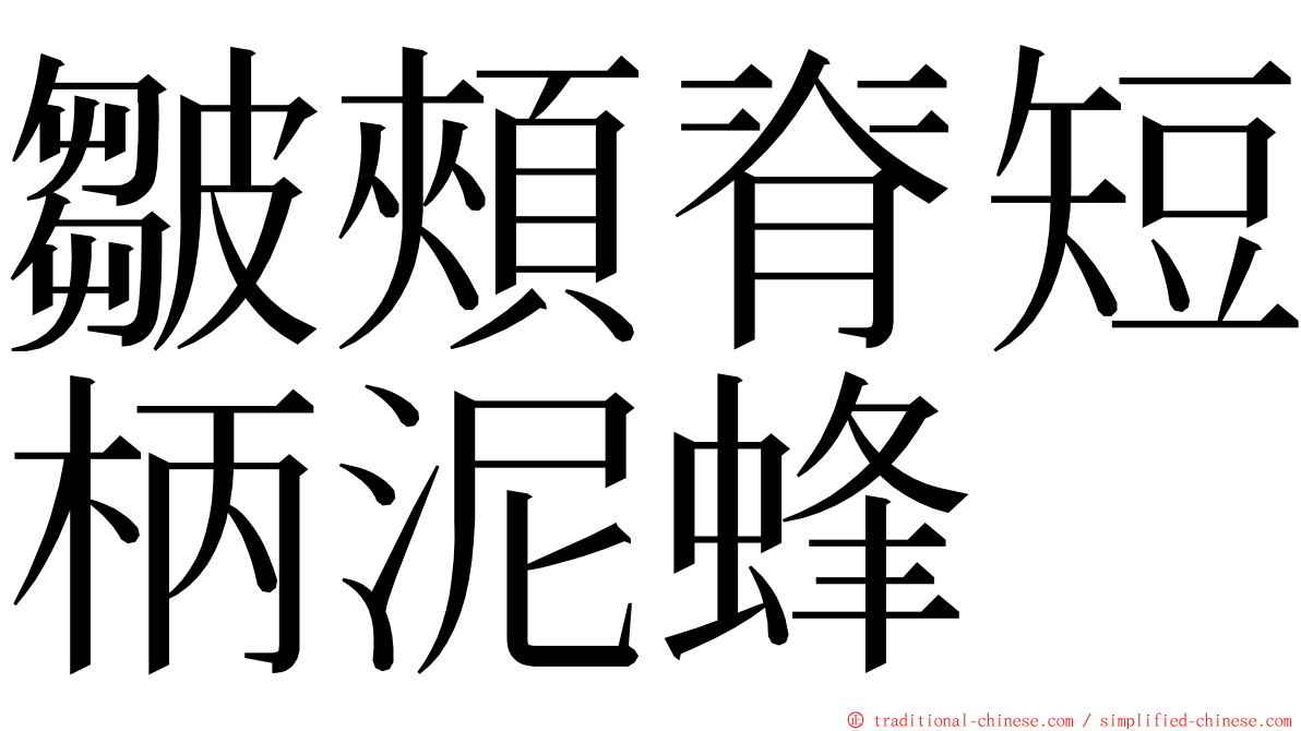皺頰脊短柄泥蜂 ming font