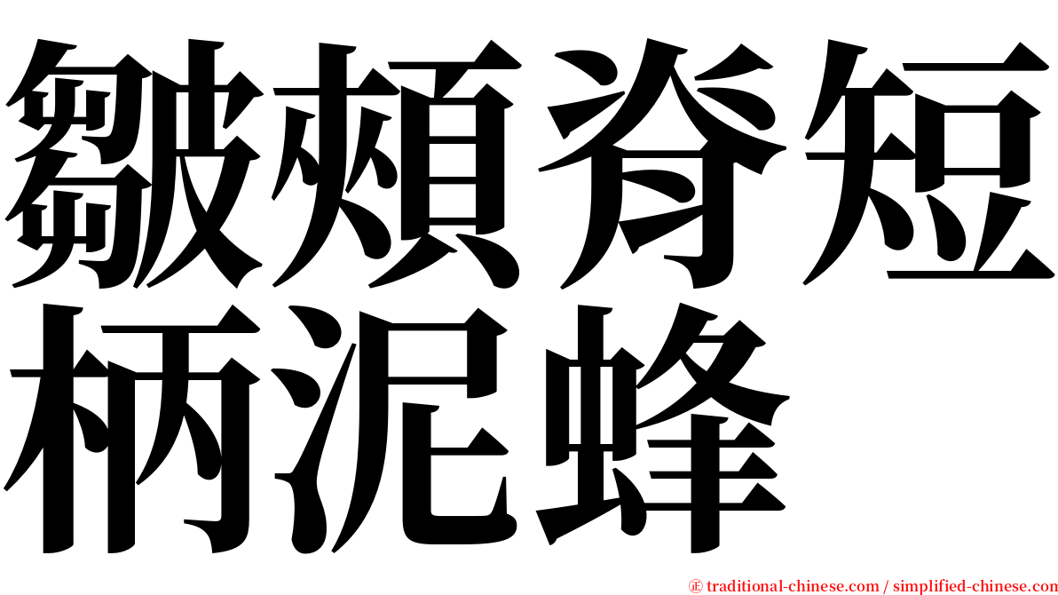 皺頰脊短柄泥蜂 serif font