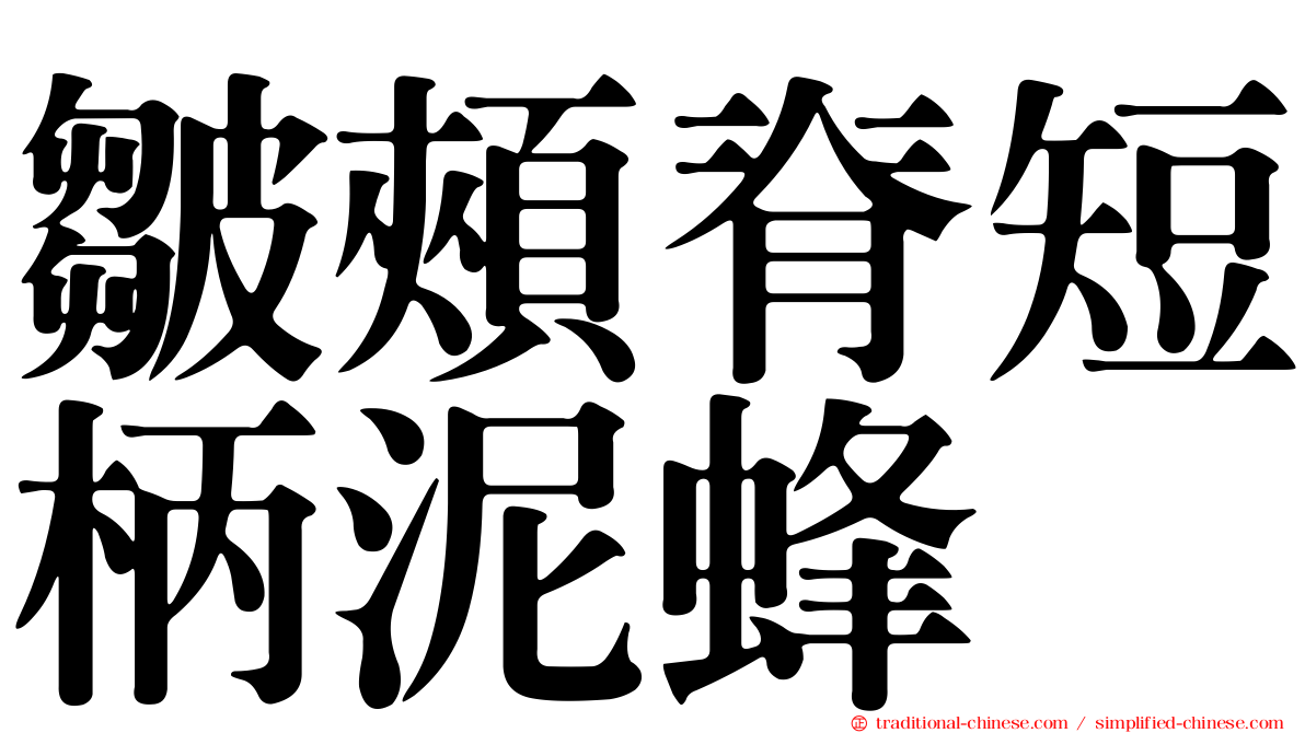 皺頰脊短柄泥蜂