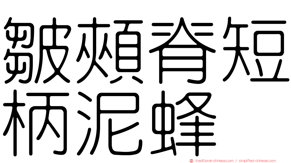 皺頰脊短柄泥蜂
