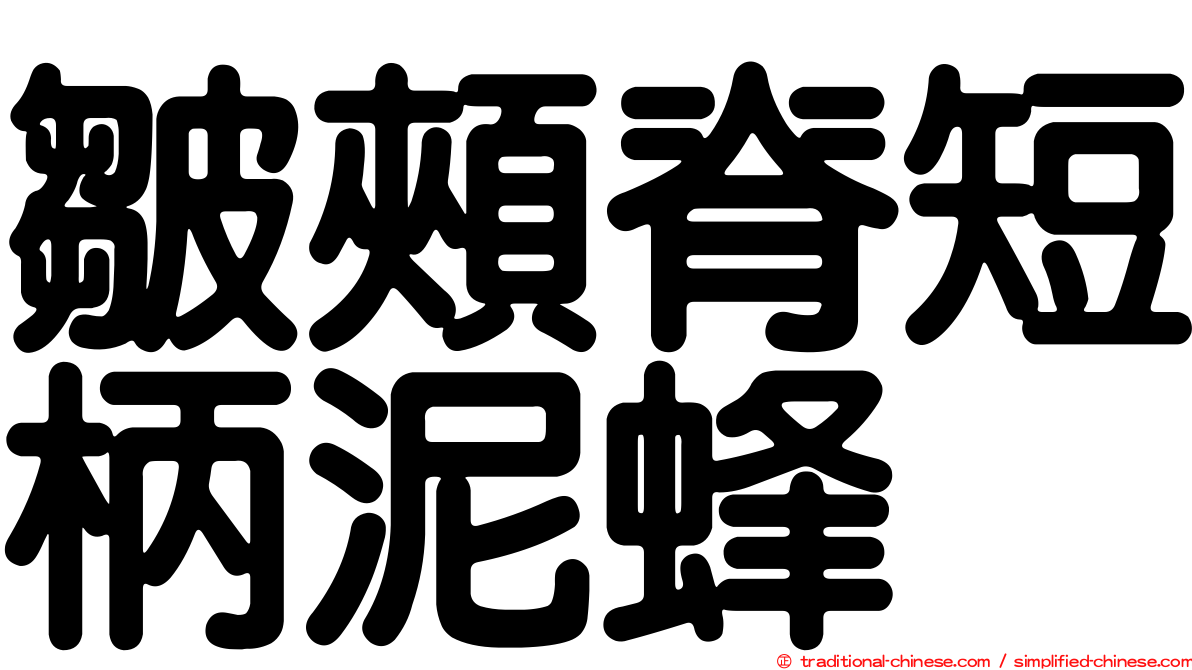 皺頰脊短柄泥蜂