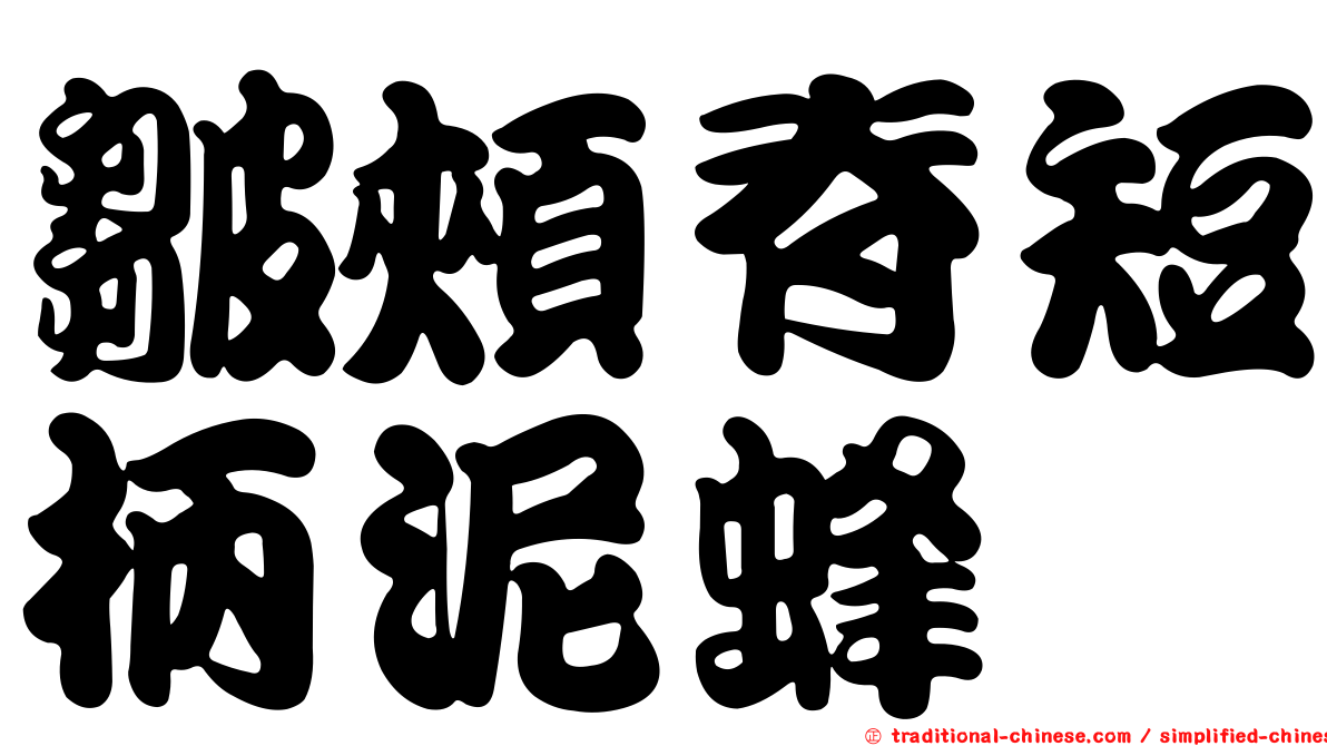 皺頰脊短柄泥蜂