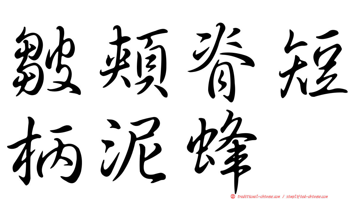 皺頰脊短柄泥蜂