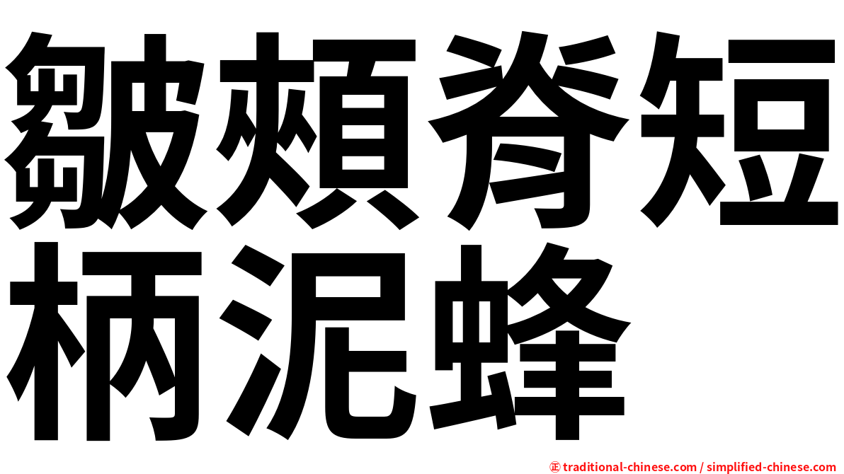 皺頰脊短柄泥蜂