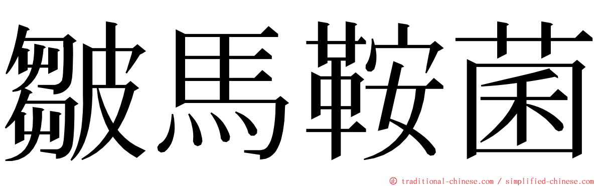 皺馬鞍菌 ming font