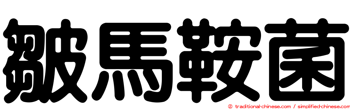 皺馬鞍菌
