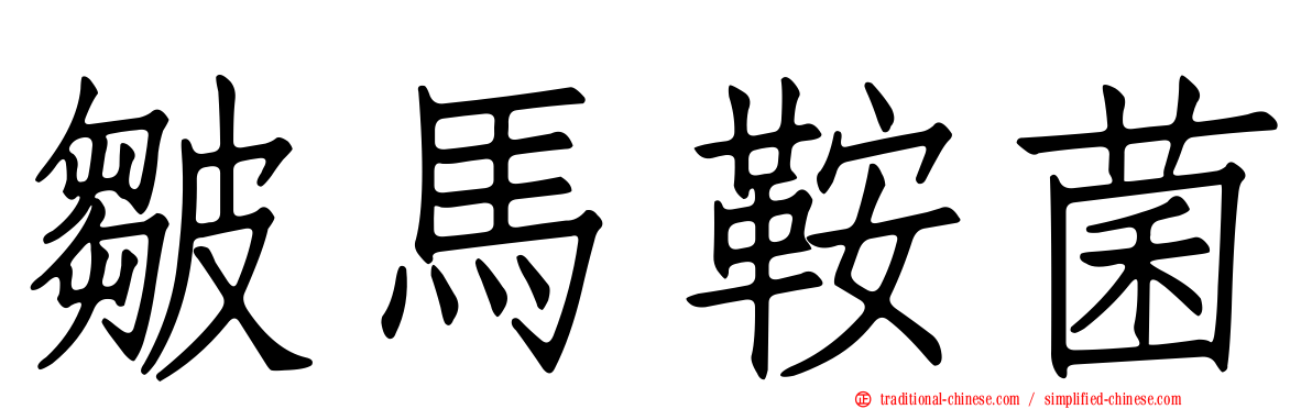 皺馬鞍菌