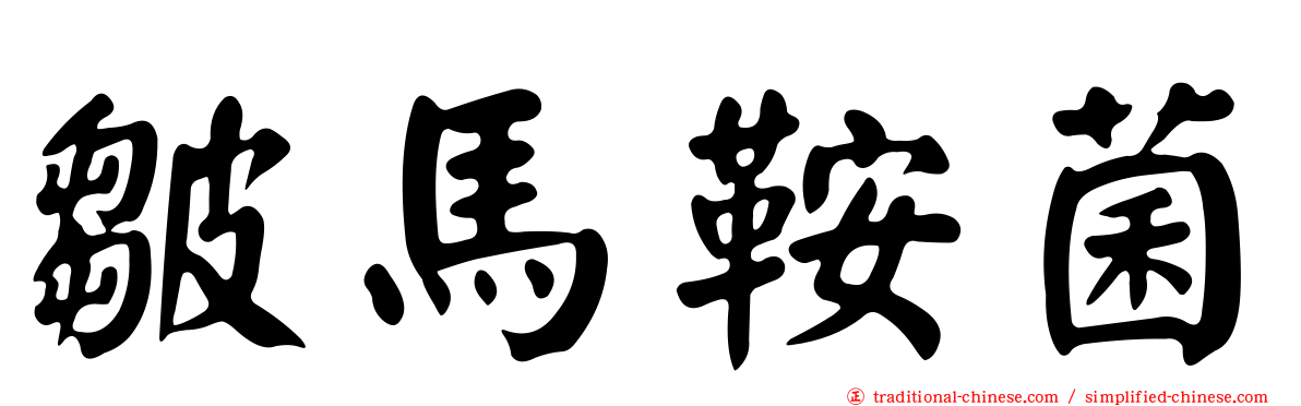 皺馬鞍菌