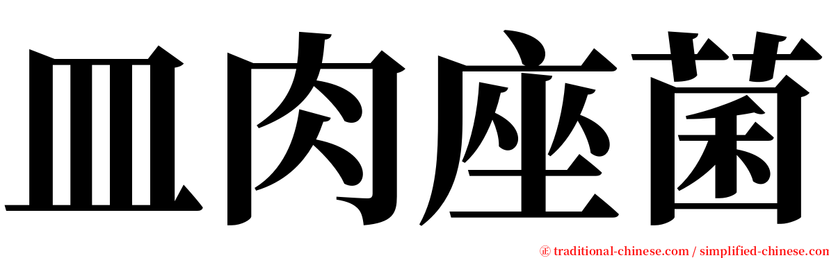 皿肉座菌 serif font