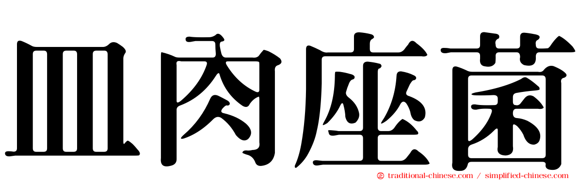 皿肉座菌