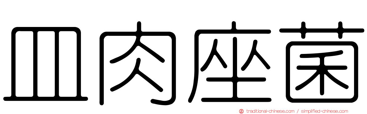 皿肉座菌