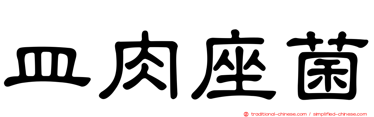 皿肉座菌