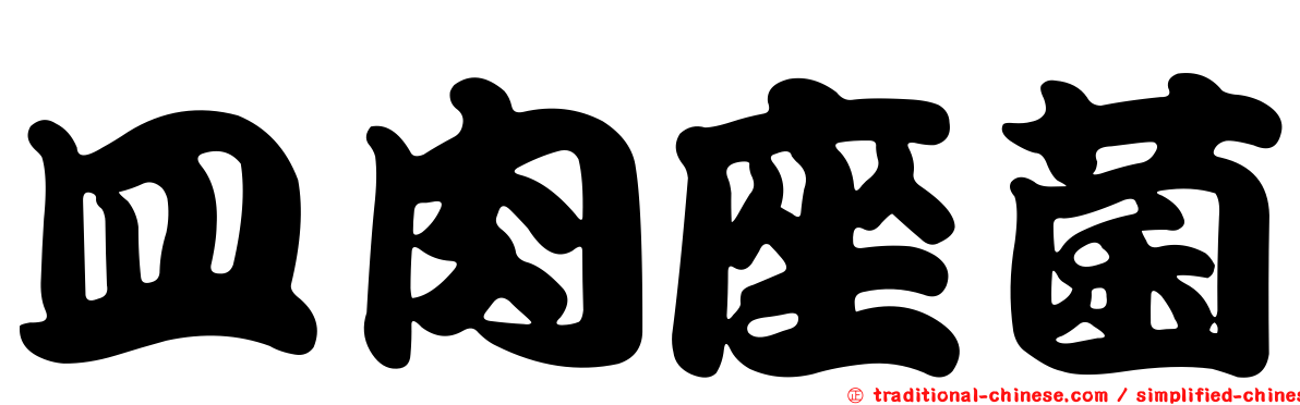 皿肉座菌
