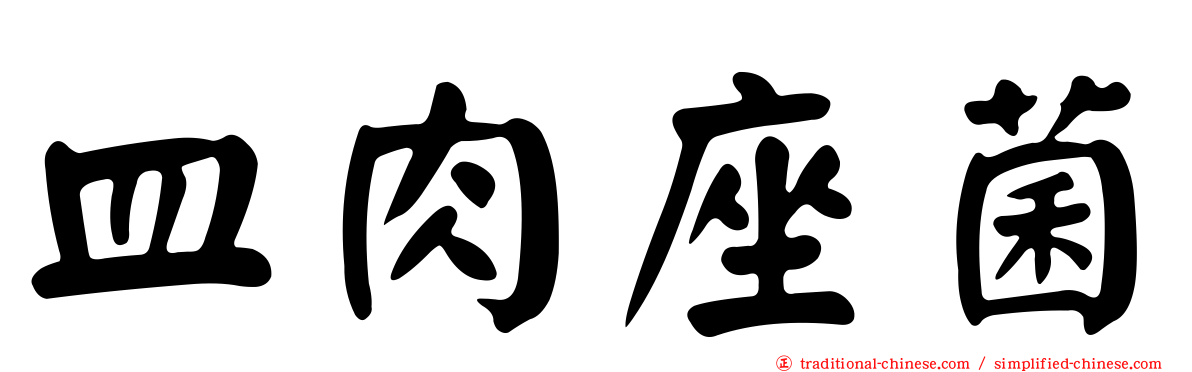 皿肉座菌