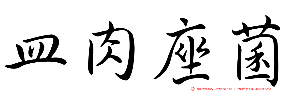 皿肉座菌